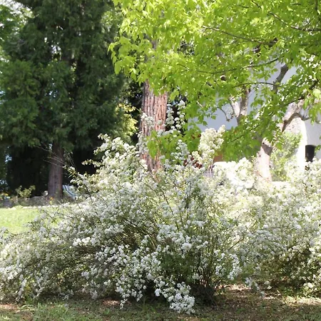 Holiday home La Del Nonno